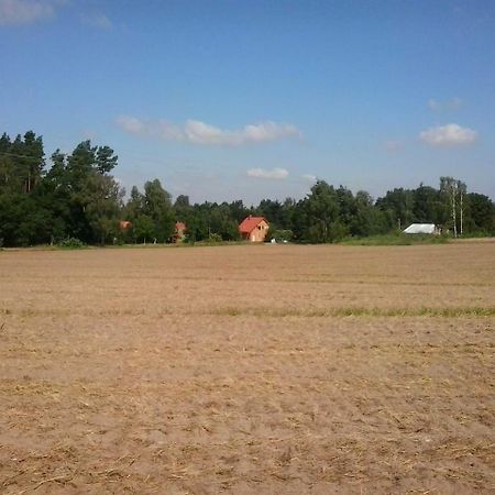Apartmán Holzmichel _ Pinocchio Lärz Exteriér fotografie