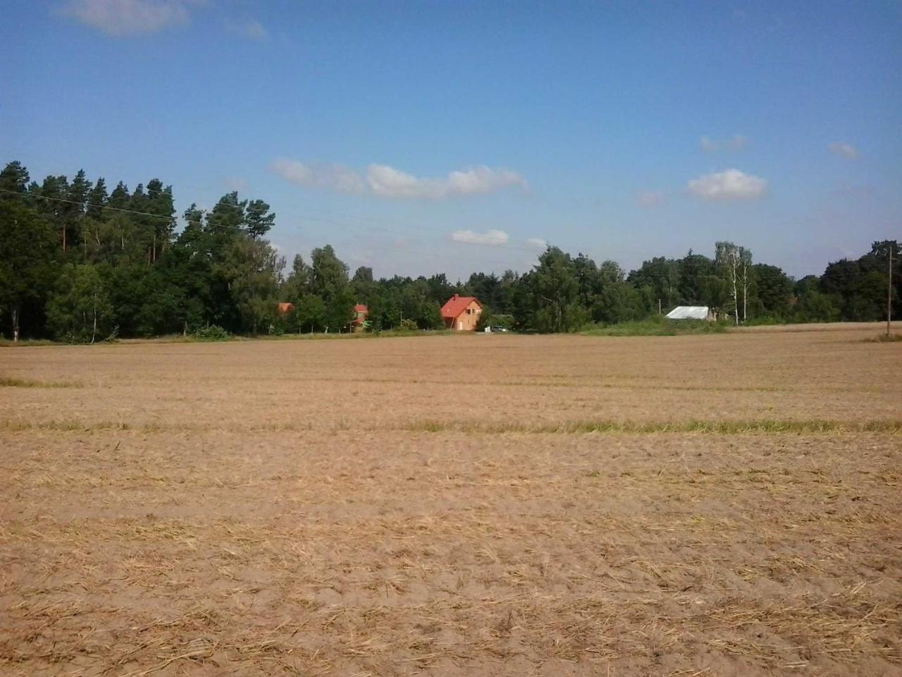 Apartmán Holzmichel _ Pinocchio Lärz Exteriér fotografie